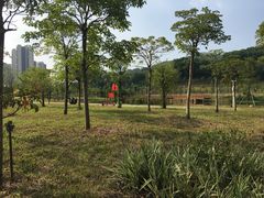 -金山植物公园