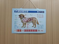 -米苏动物医院·犬猫专科·骨科外科内窥镜