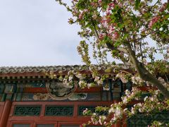 -海棠花溪(元大都城垣遗址公园)