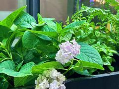 -茗知道茶馆(世博源店)