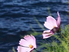 -丽江泸沽湖景区