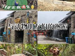 -呀路古热带植物园