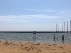 -碧海金沙