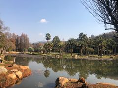 -昆明植物园