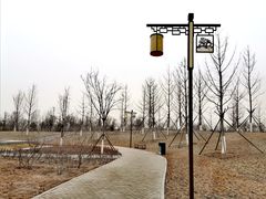 -张家湾公园