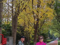 -溱湖国家湿地公园