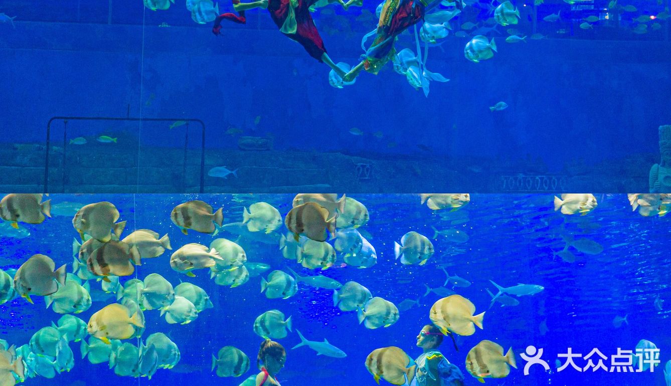 🐬逛浪漫海洋公园，看梦幻飞天游✨