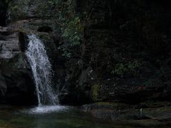 -鼎湖山风景区