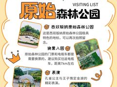 -西双版纳原始森林公园