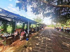 -侯臣咖啡文化村