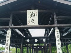 -渤公岛生态公园