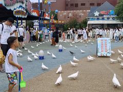 -烟台海昌鲸鲨海洋公园