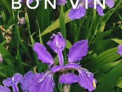 景点-南海子公园