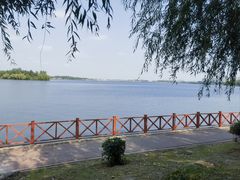 -丁香湖公园