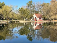 -上海共青森林公园