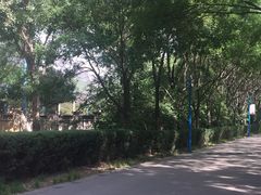 -森林公园(尖草坪区)