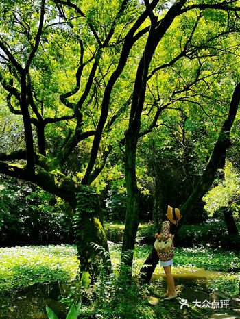 你有多久没去过西郊公园了