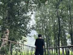 -白河湾生态旅游一条川