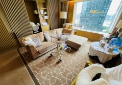 -巍阁高端月子会所