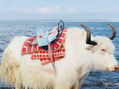 -青海湖国家重点风景名胜区售票处