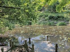 -杭州半山国家森林公园