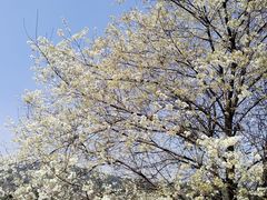 -名花谷生态庄园