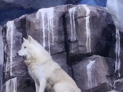 -多彩贵州城极地海洋世界