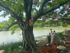 -江心屿景区