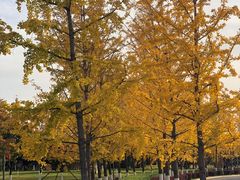 -北京园博大酒店