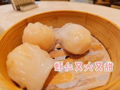 水晶虾饺-扬州香格里拉·香宫中餐厅