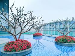 -英芬国际月子中心(岛屿度假月子·洲至奢选香岚店)