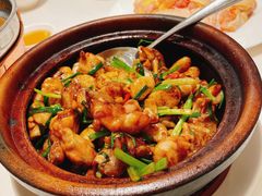 啫啫牛蛙煲（68）-粤来记·啫啫煲·点心(日月光店)