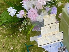 -芭厘农庄老字号·清远鸡