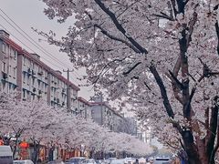 -永乐路-路侧停车场