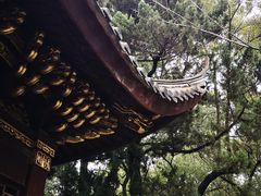 -汇龙潭