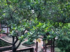 -东莞市可园博物馆