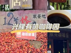 -兴隆隆苑咖啡庄园