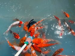 -萌宠亲子动物乐园(槐房万达店)