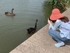 -长兴太湖图影湿地文化园