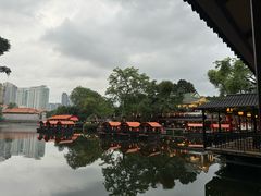 -侨美·唐荔园·40年地道粤菜