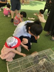 -萌宠亲子动物乐园(槐房万达店)