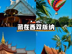 -西双版纳傣族园