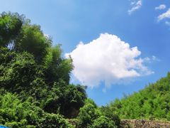 -将军关探险漂流