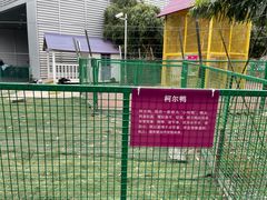 -夏阳湖皇冠假日酒店-中餐厅