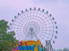 -洋湖国家湿地公园