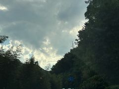 -四明山国家森林公园