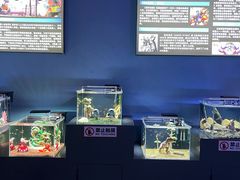 -重庆欢乐海底世界