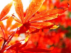 景点-西安汉城湖景区