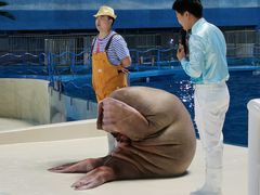 -泉城欧乐堡海洋极地世界