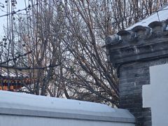 -北京鲁迅博物馆(北京新文化运动纪念馆鲁博馆区)